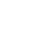 TOSS Logo